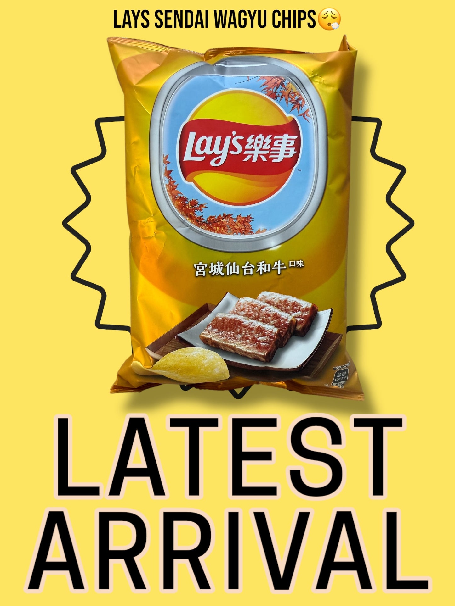 Lays sendai wagyu