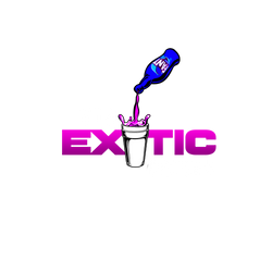 313ExoticDrinksLLC logo