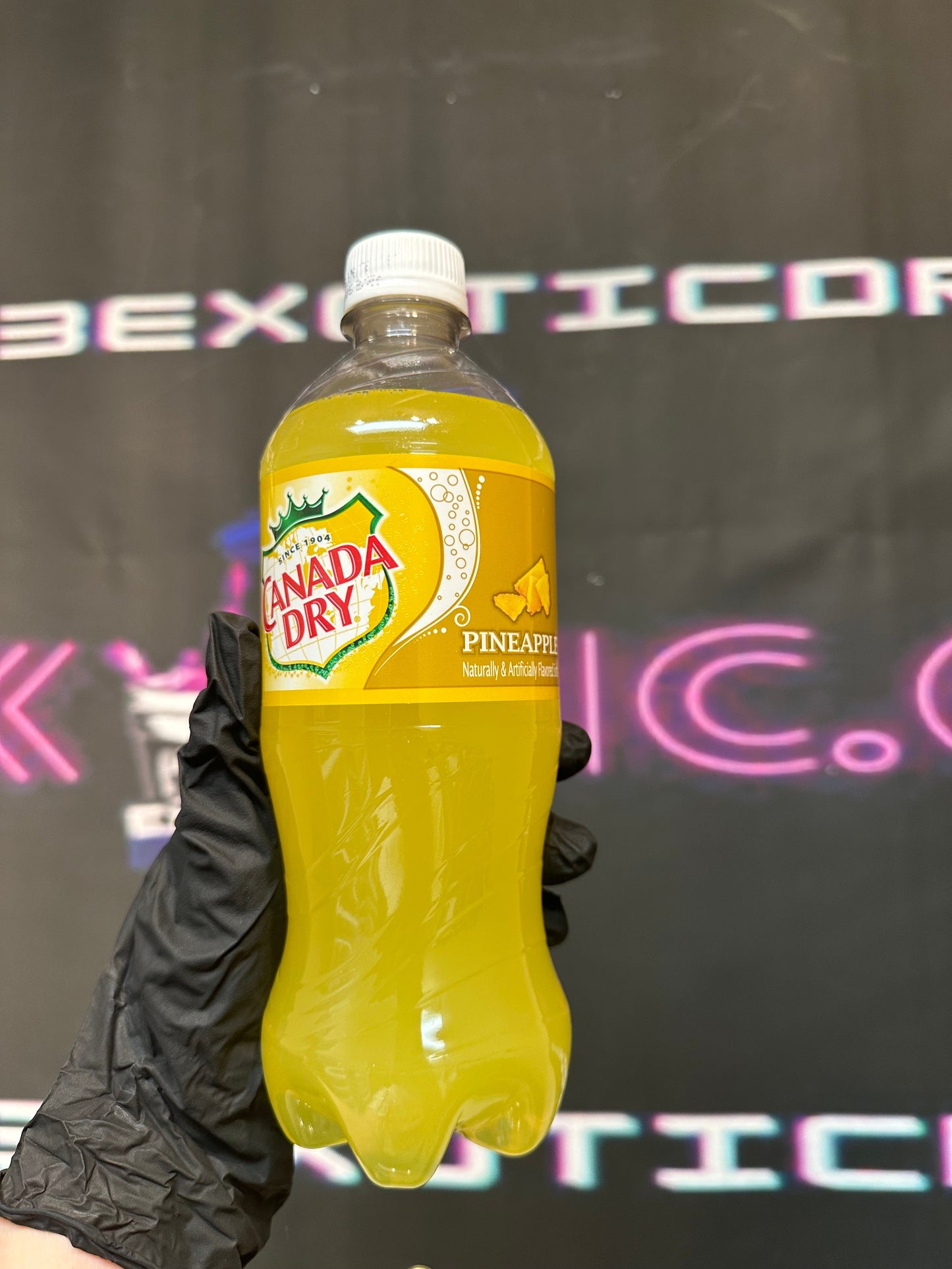 Canada Dry Pineapple